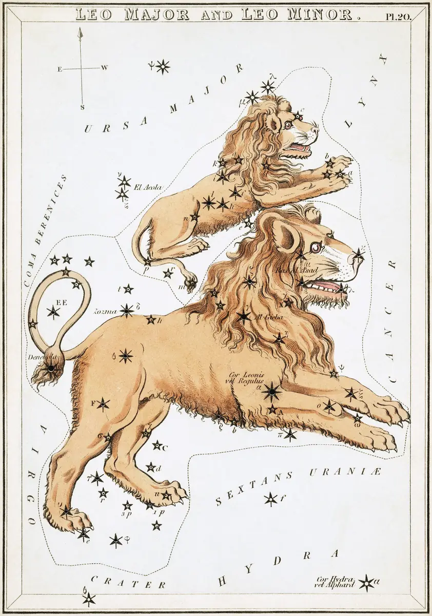 Leo Major and Leo Minor: Kupferstich der Sternbilder.