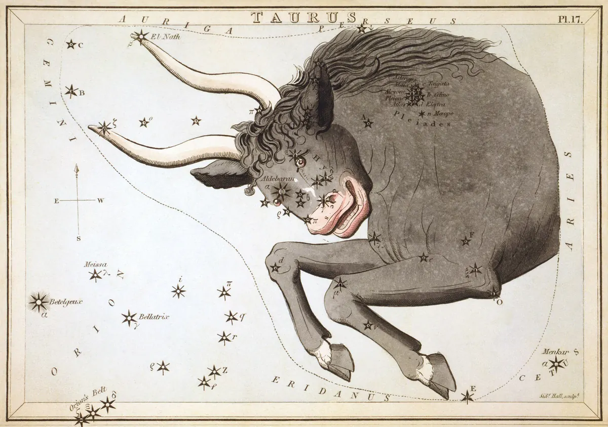 Taurus: Kupferstich der Sternbilder.