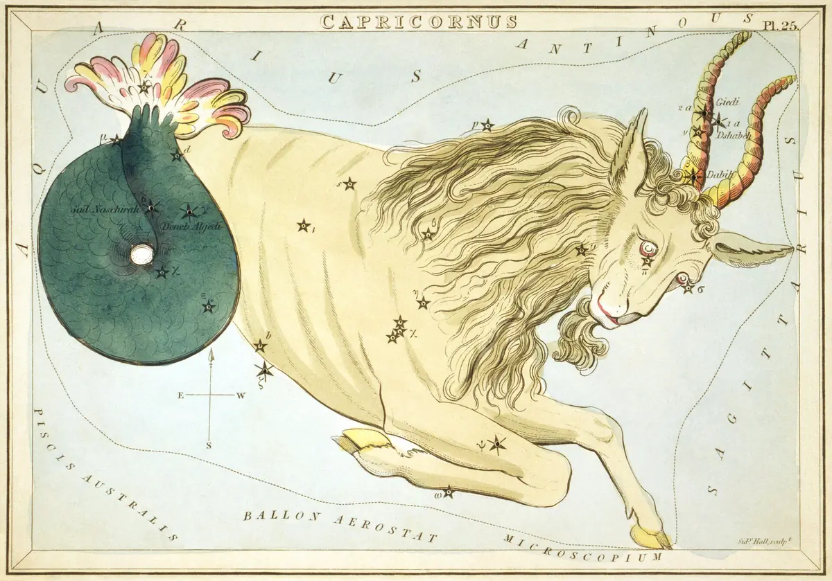 Capricornus: Kupferstich der Sternbilder.